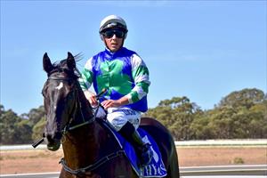 Shifty Shamus returning to scale, Echuca April 2019 Shifty Shamus returning to scale, Echuca April 2019